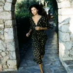 Butterfly sleeves dress